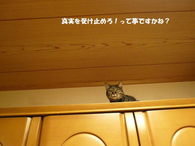 e0094407_14572138.jpg