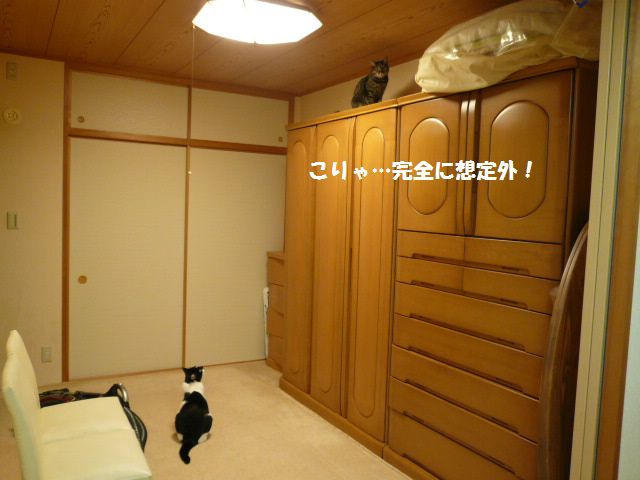 e0094407_14585491.jpg