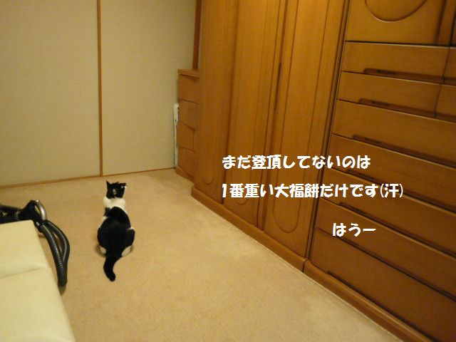 e0094407_1502224.jpg