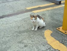 8月31日(水)八王子グルーブ_f0178313_13531165.jpg