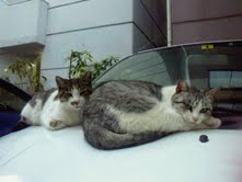 8月31日(水)八王子グルーブ_f0178313_1445710.jpg