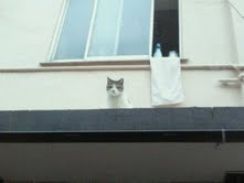 8月31日(水)八王子グルーブ_f0178313_1451835.jpg