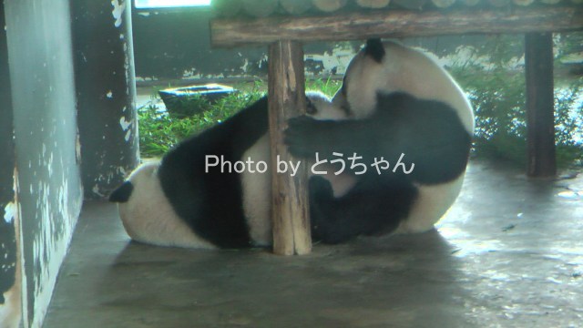 雄浜そっくり！！(^^)(2011.08.13～15)_f0079716_0311155.jpg