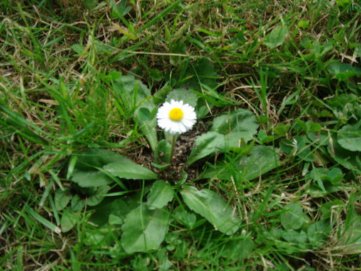 c0124619_823379.jpg
