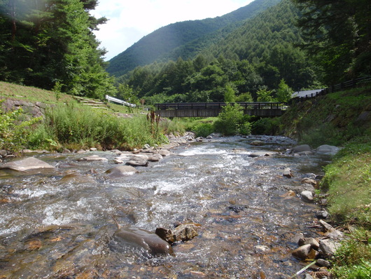 d0112024_1515421.jpg