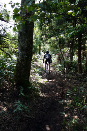 阿佐山（頂上でマウンテンバイクに出会う！）_c0064025_17163265.jpg