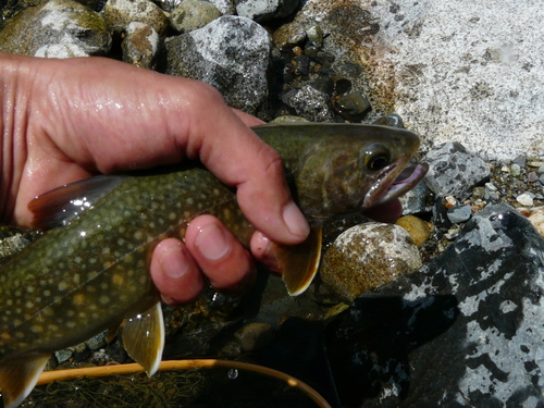 e0147226_0173163.jpg