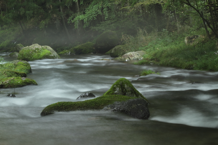 水量が多すぎて_c0215627_92124100.jpg