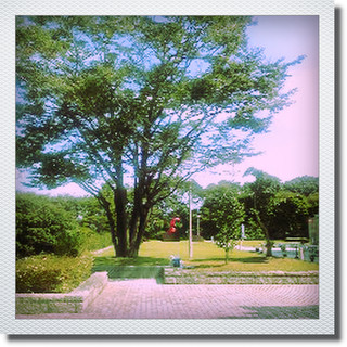 e0175228_13104490.jpg
