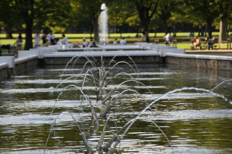 a0122932_014785.jpg