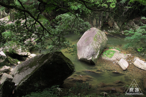 193 鬼の舌震 ～久しぶりの毒蛇～_c0211532_10455048.jpg