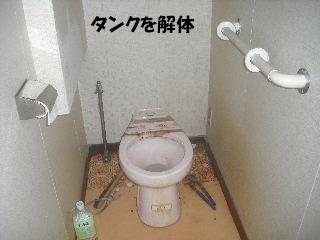 内装・クロス工事_f0031037_20331073.jpg
