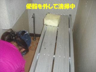 内装・クロス工事_f0031037_20331932.jpg