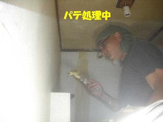 内装・クロス工事_f0031037_20332755.jpg