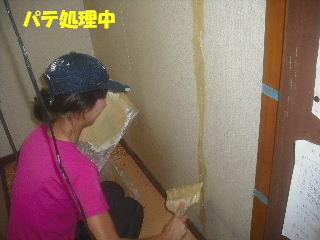 内装・クロス工事_f0031037_2033346.jpg