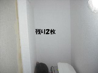 内装・クロス工事_f0031037_20342667.jpg