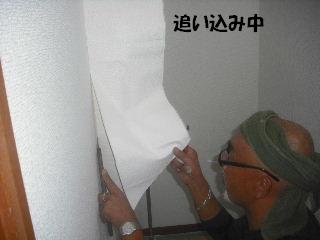 内装・クロス工事_f0031037_20343570.jpg