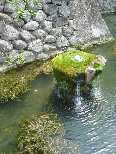 e0027240_12544799.jpg