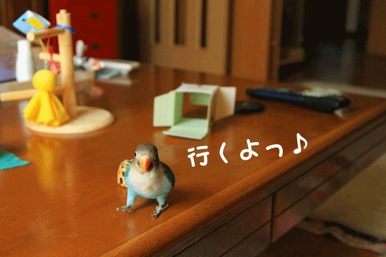 c0145250_2122108.gif