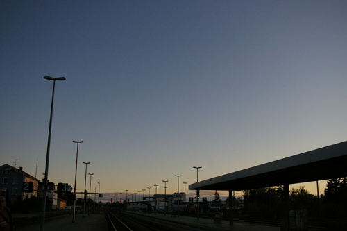 b0175255_25192.jpg