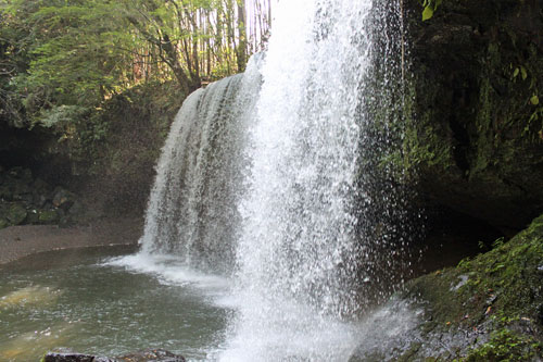 b0016557_21132830.jpg