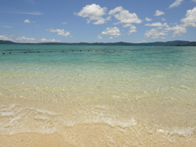 c0048160_11412185.jpg