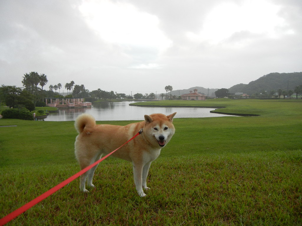 2011年8月30日(火)台風の前!_f0060461_11222391.jpg