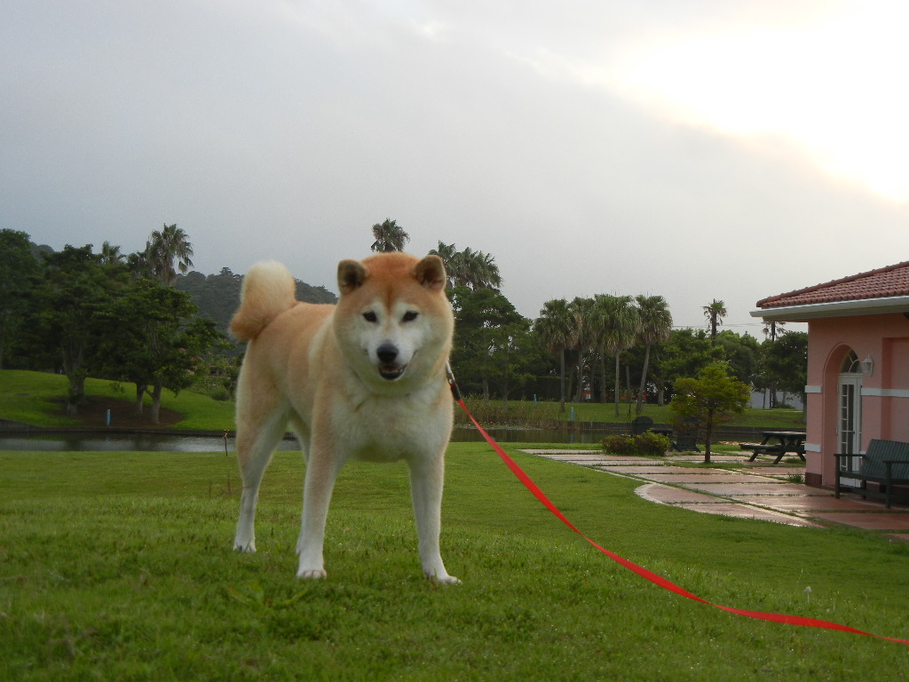 2011年8月30日(火)台風の前!_f0060461_11232261.jpg