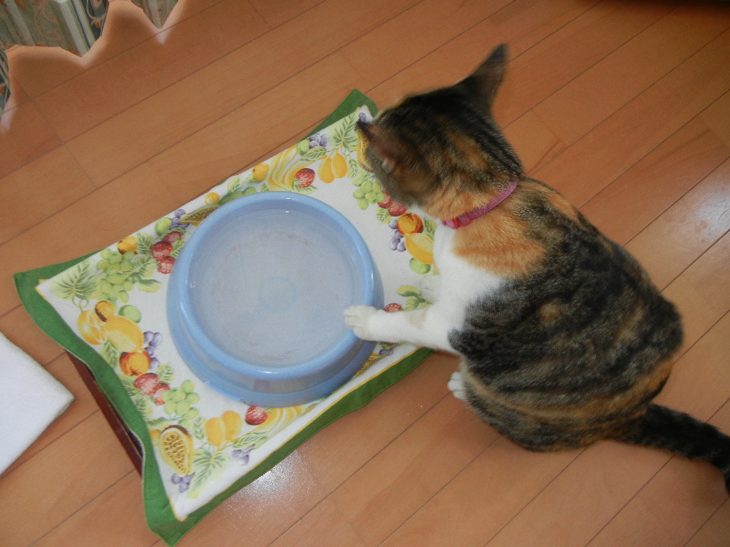 2011年8月30日(火)台風の前!_f0060461_1262251.jpg