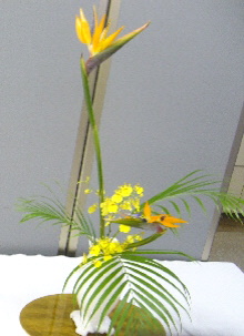 e0086864_0145989.jpg