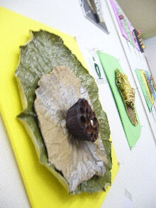 e0086864_05294.jpg