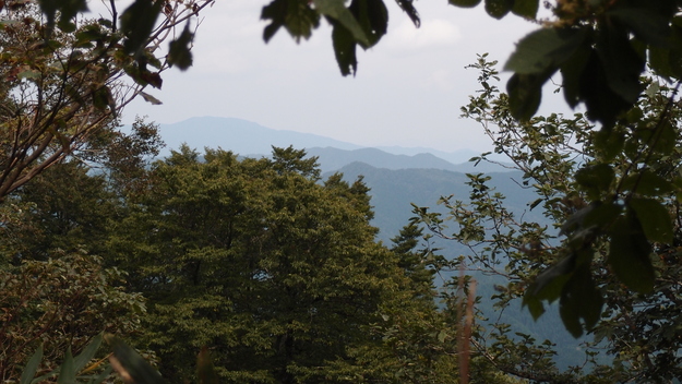 e0024081_2021488.jpg
