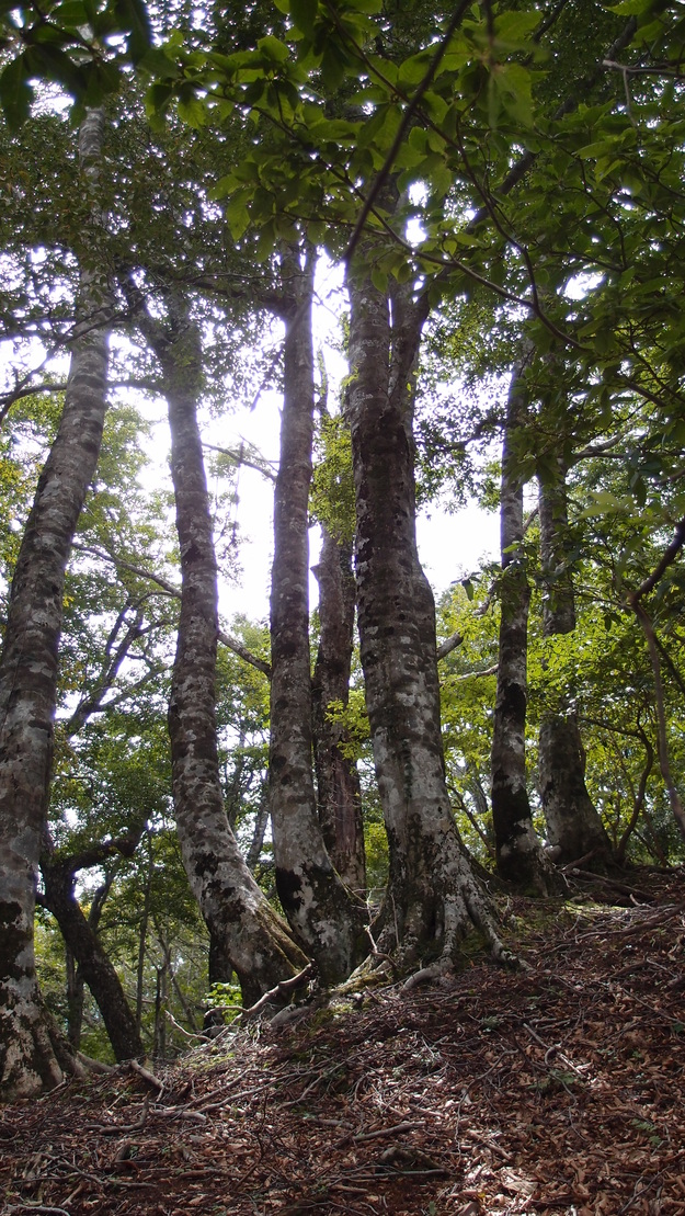 e0024081_20294625.jpg
