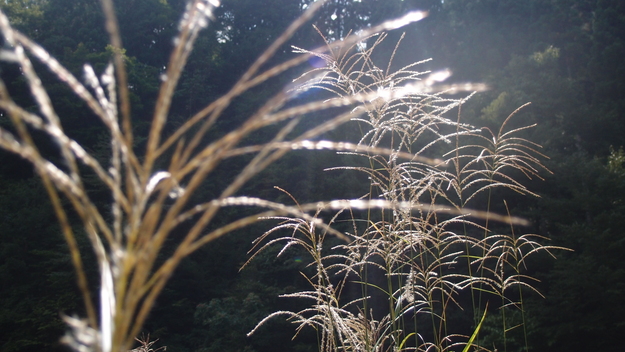 e0024081_20315070.jpg