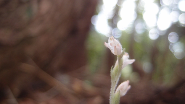 e0024081_21151526.jpg