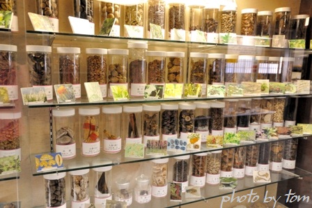 富山散歩～県東部179～薬種商の館「金岡邸」80年代のデパートかっ! Tomの一人旅～気のむくまま、足のむくまま～