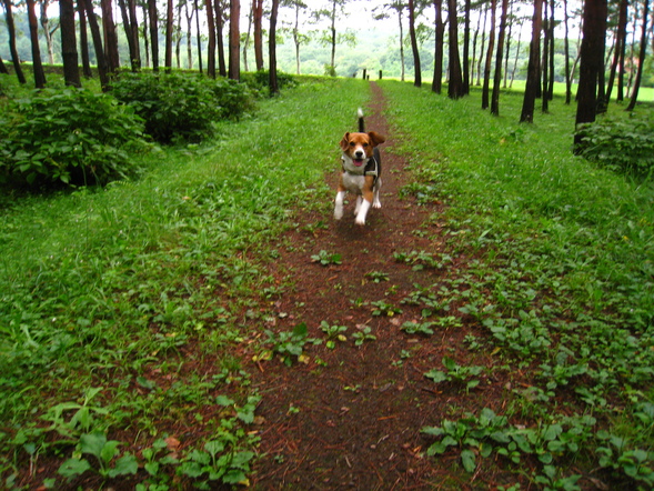 green green_d0077992_23505899.jpg