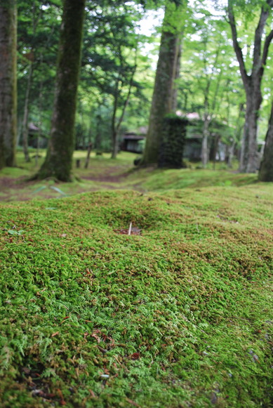 旧軽井沢エリアを散歩(●´∀｀●)_e0172592_14384240.jpg