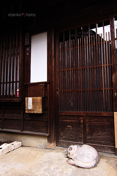 f0228502_12142285.jpg