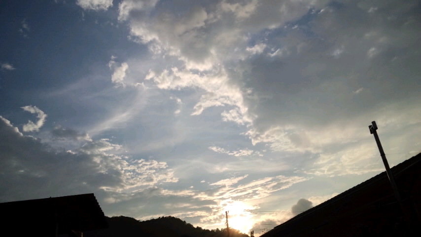 d0093903_23511425.jpg