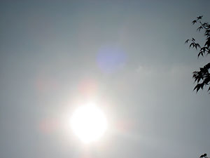 e0118904_10565986.jpg