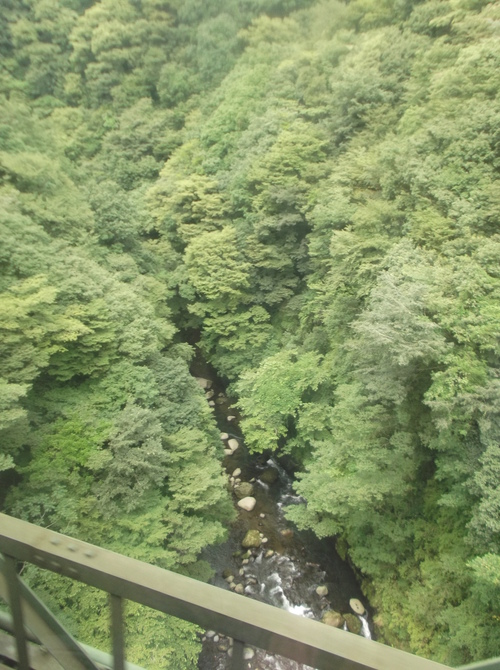 箱根への旅―箱根登山電車の魅力_e0123104_6562837.jpg