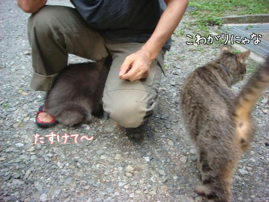 怖かったけど・・・_f0064906_17512021.jpg