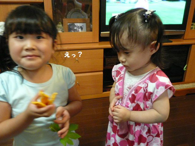 e0094407_2042231.jpg