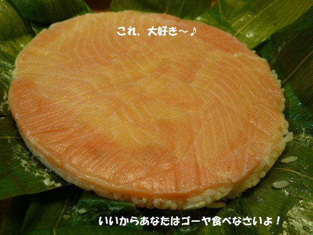 e0094407_21223026.jpg