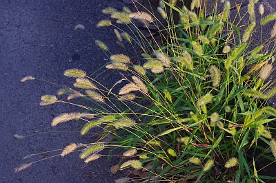 c0156908_21365110.jpg