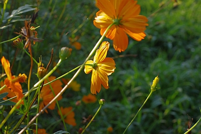 c0156908_21374069.jpg
