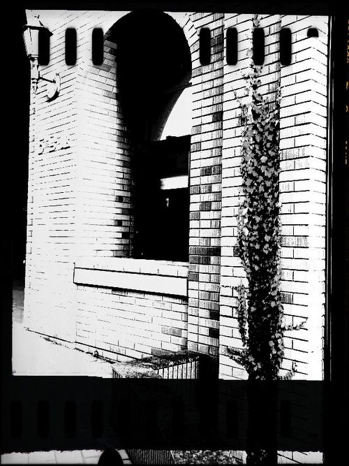INSTANT RETRO_c0025115_19393638.jpg