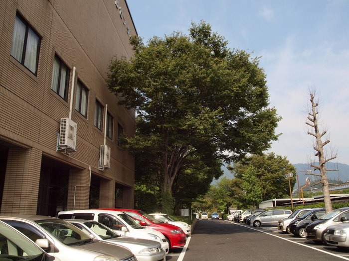 佐伯区民文化センター_c0116915_0385578.jpg