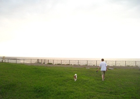 c0084117_1445848.jpg